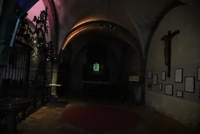 DSC_6181 (Large).JPG